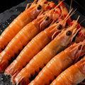 Scampi della Nuova Zelanda (Scampi)